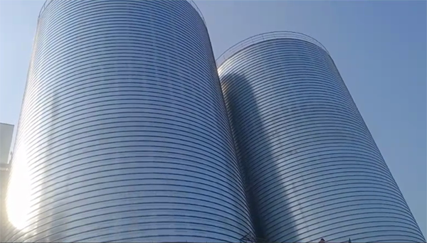 金秀2座混凝土高架卷板仓